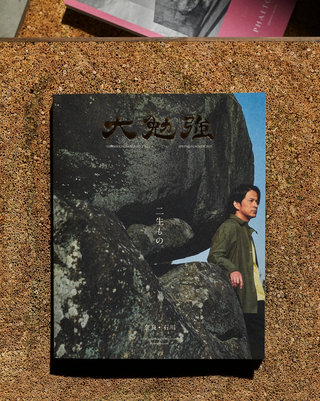 大勉強 DAIBENKYO MAGAZINE Issue 6|二生もの。